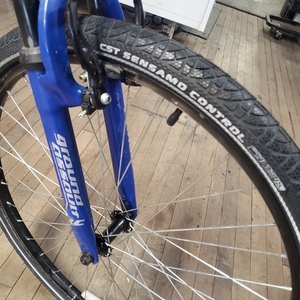 Roadmaster Granite Peak Blue