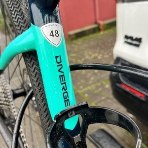 2020 Specialized Diverge Green
