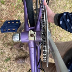 1990 Bianchi Veloce Purple