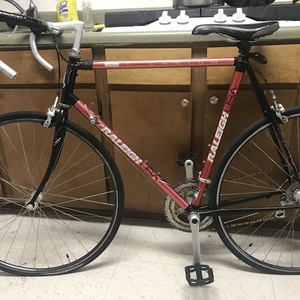Raleigh Technium pro Red