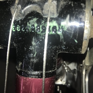 Raleigh Technium pro Red