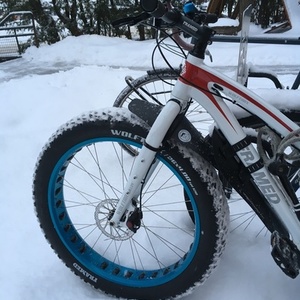 2015 FRAMED Wolftrax