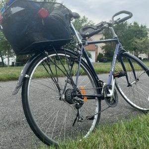 Bianchi Blue