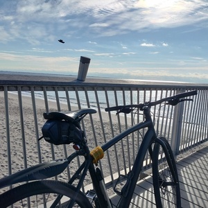 2015 Raleigh Misceo Black