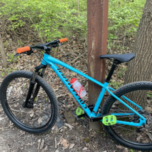 2019 Specialized Pitch comp Blue