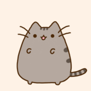 2021 Trek ALR+ Black