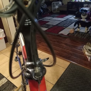 1991 paramount (schwinn) series 90 (paramoint) Blue, Red, and White