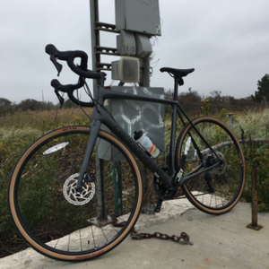 2019 Cannondale Synapse Black