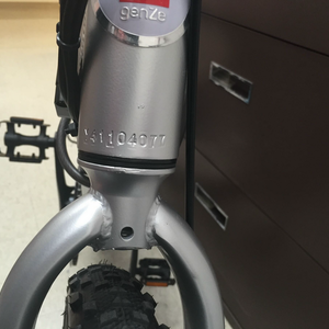 GenZe Genze e101 sport eBike Silver, gray or bare metal