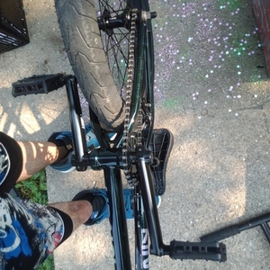 2023 Kink Launch Green