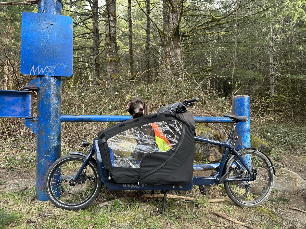 Cargo Bike photo
