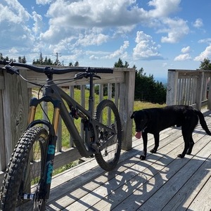 2020 Yeti 130LR Turq X01 52t Silver, gray or bare metal