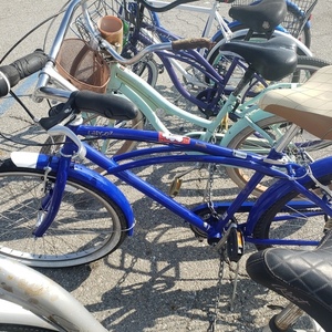 Schwinn Blue