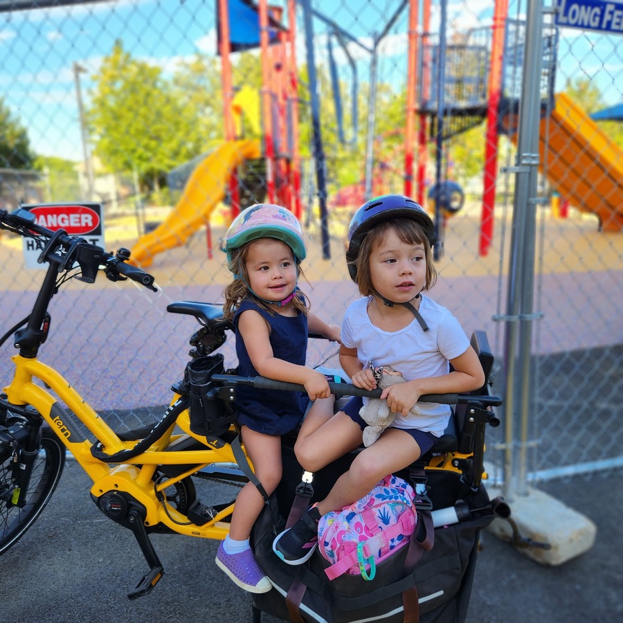Cargo Bike Rear photo
