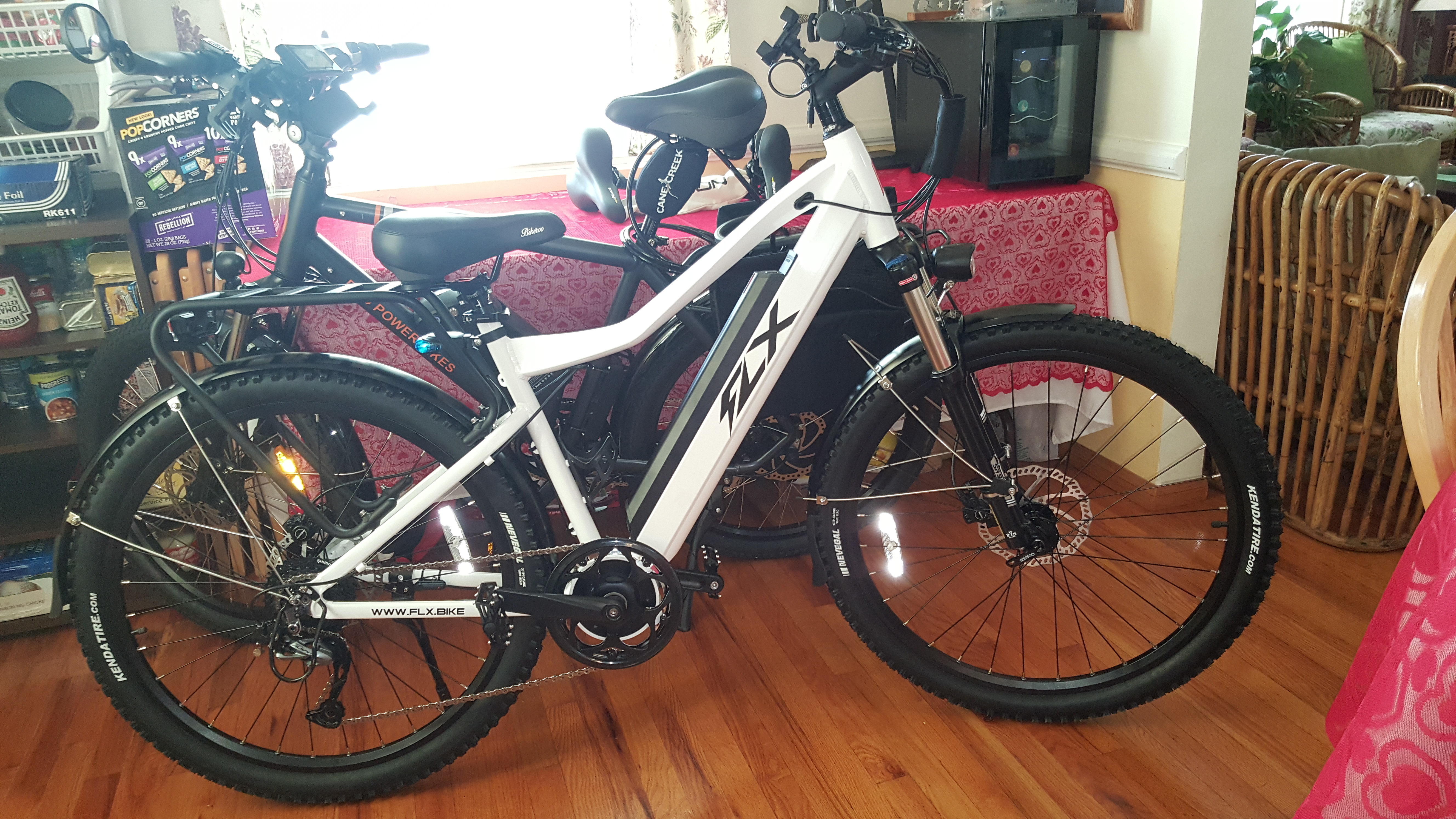 flx trail bike