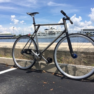 2017 GOAT GOAT Street Track Silver or Gray