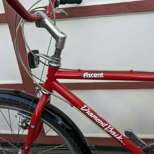 1986 Diamondback Ascent