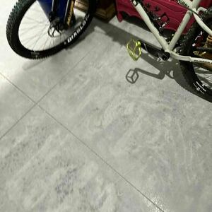 2021 RSD RS-291 Silver, gray or bare metal