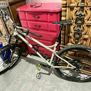 2021 RSD RS-291 Silver, gray or bare metal