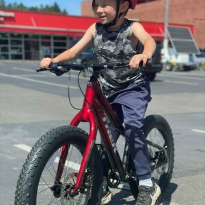 2020 Trek Roscoe Red and Black