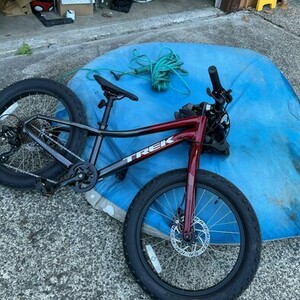 2020 Trek Roscoe Red and Black