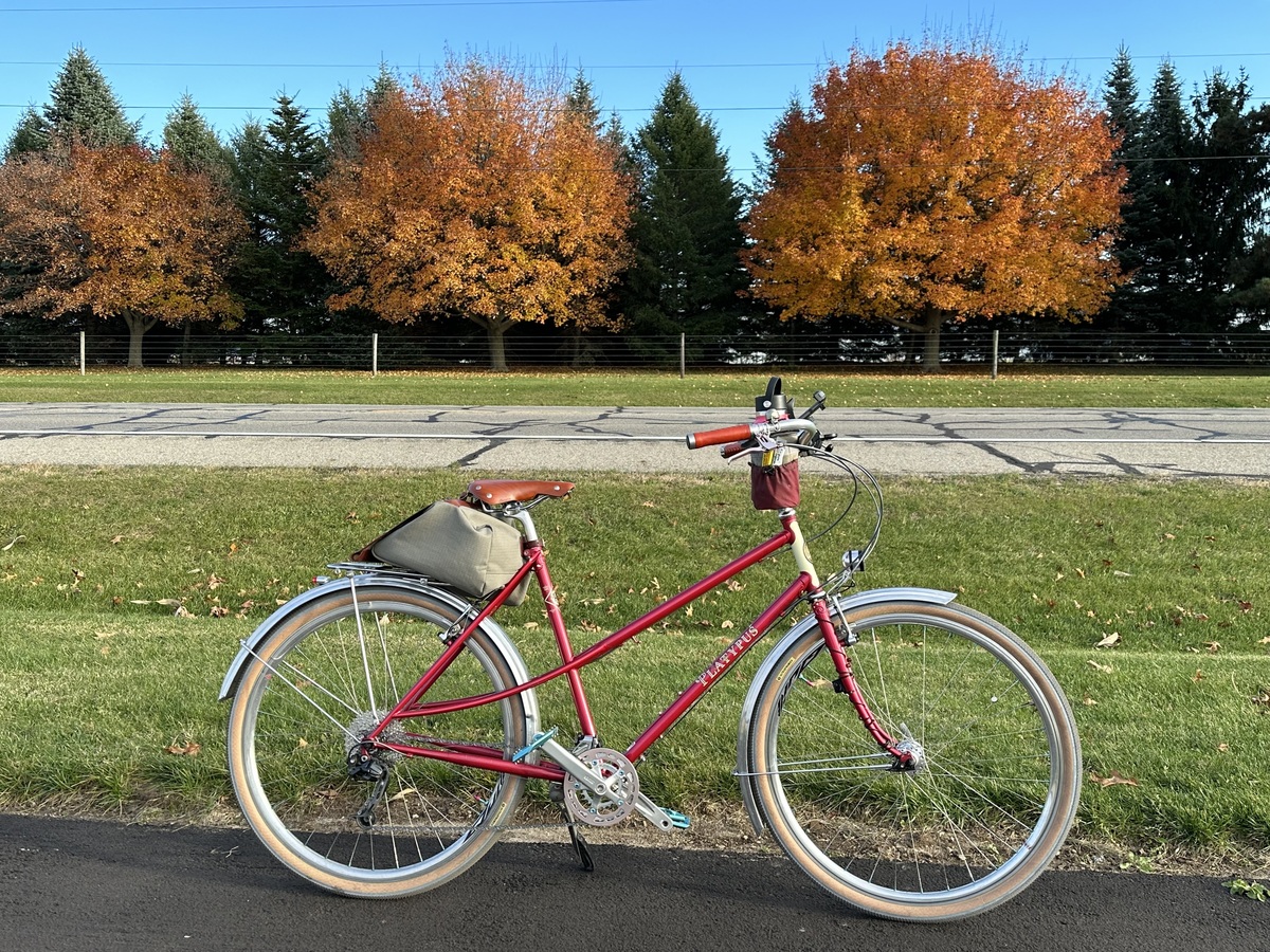 2020 Rivendell Bicycle Works Platypus