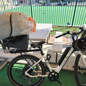 2019 Aventón Pace 350 White