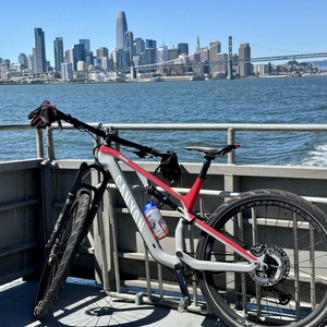 2021 Canyon bicycles NEURON CF8 Silver, gray or bare metal and Red