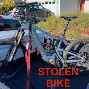 2023 Santa Cruz Heckler Silver, gray or bare metal