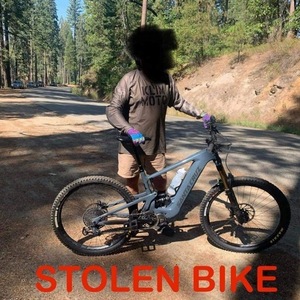 2023 Santa Cruz Heckler Silver, gray or bare metal