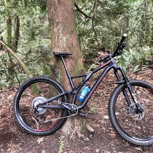 2019 Specialized Stumpjumper Black