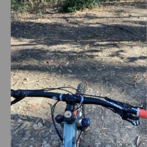 2015 Giant Trance SX 27.5 Green