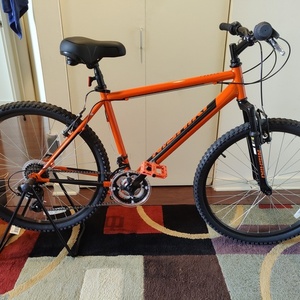 2022 Nishiki Pueblo Orange