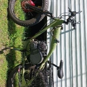 2021 Phat Cycles Aluminum Green