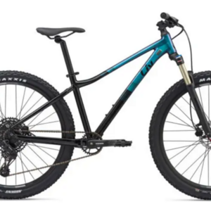 2020 Giant tempt 1 S Black and Blue