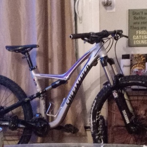 2024 Specialized Silver, gray or bare metal