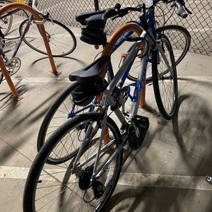 2021 Trek FX1 Silver, gray or bare metal