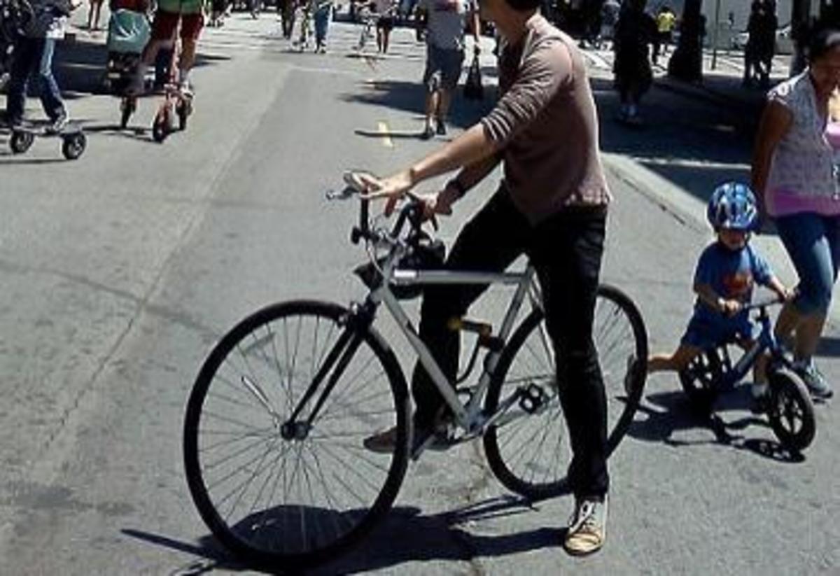 Stolen 2010 Draft SE Racing