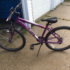 Myka Purple