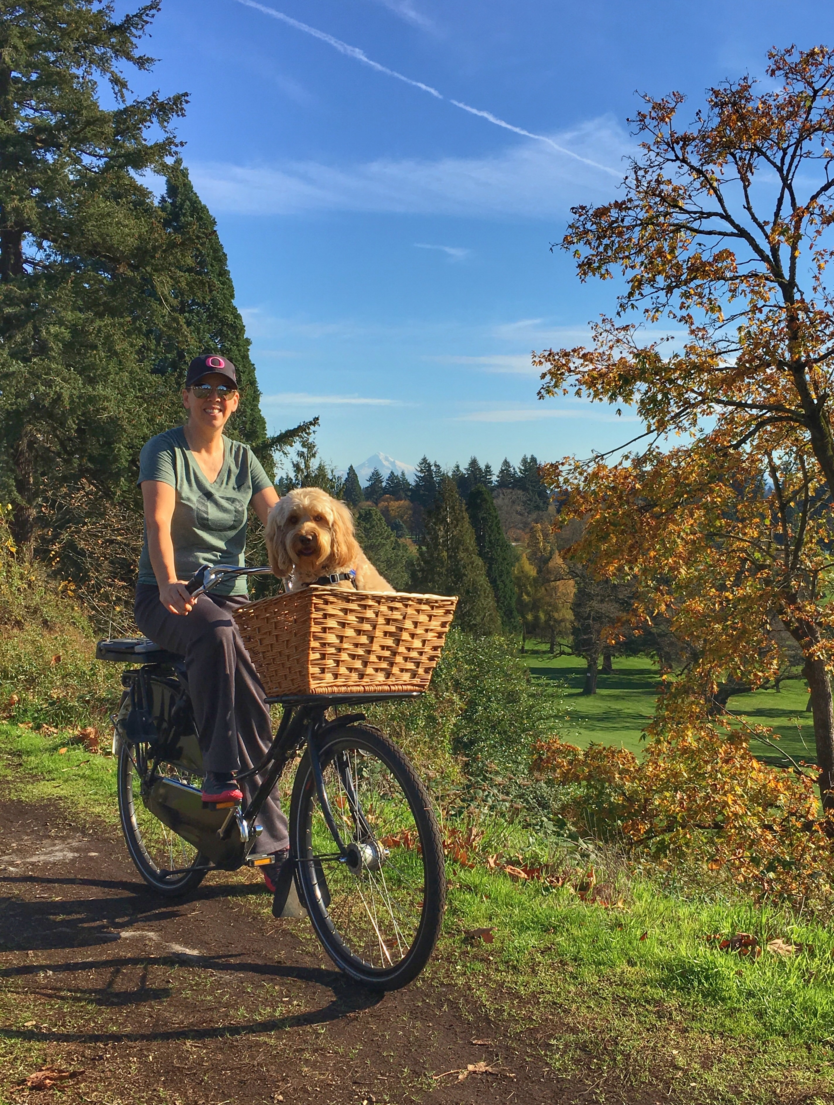 WorkCycles