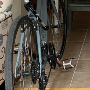 2020 Raleigh Cadent 1 Step Thru Grey Small Silver, gray or bare metal