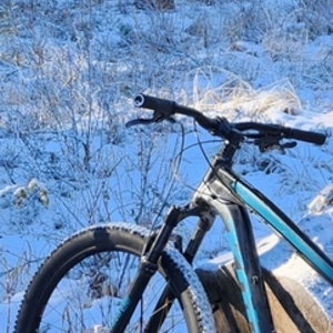 2020 Kona Blast Black and Blue