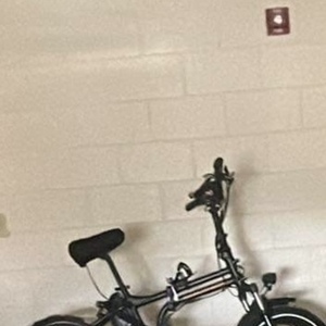 2019 Rad Power Bikes Radmini 4 Black