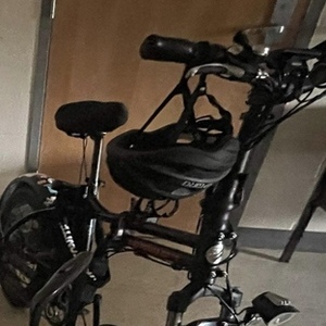 2019 Rad Power Bikes Radmini 4 Black