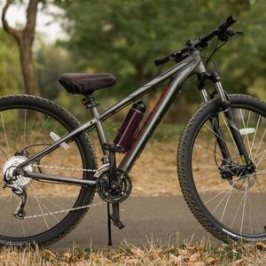 2015 Specialized Silver or Gray