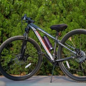 2015 Specialized Silver or Gray