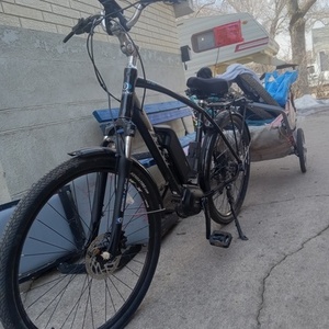 Del Sol Electric Black