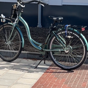 2022 Popal Moderfiets City bike Green