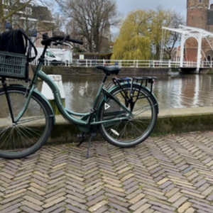 2022 Popal Moderfiets City bike Green