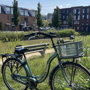2022 Popal Moderfiets City bike Green